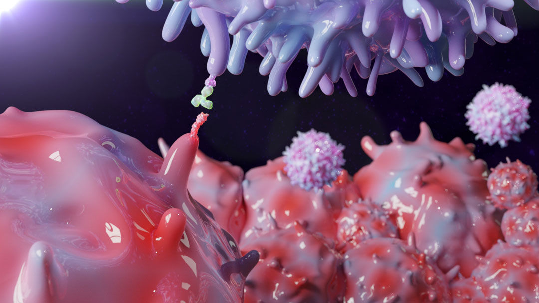 Programmed Cell Death Protein 1 (PD-1) 