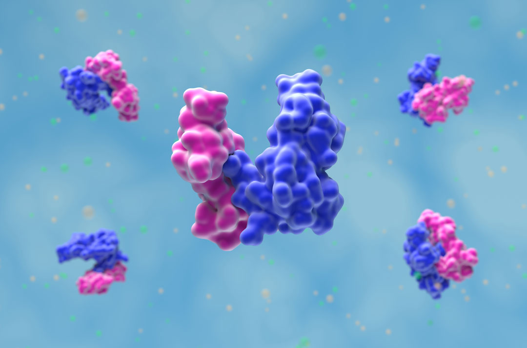 Transforming Growth Factor Alpha (TGF-α)